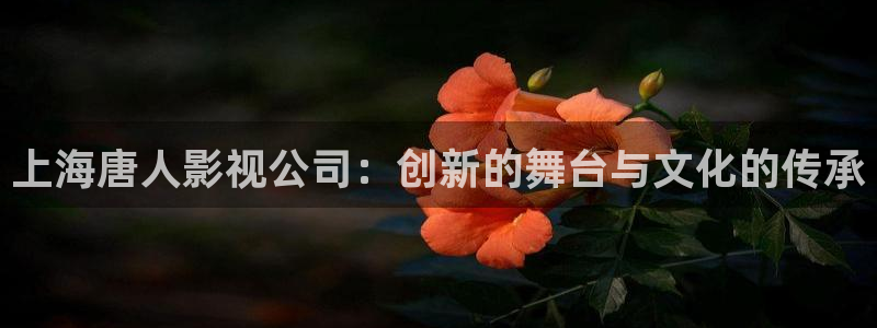 飞马良子影视有限公司：上海唐人影视公司：创新的舞台与文化的传承