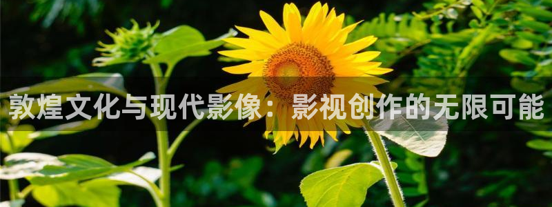 飞马影院下载安装：敦煌文化与现代影像：影视创作的无限可能