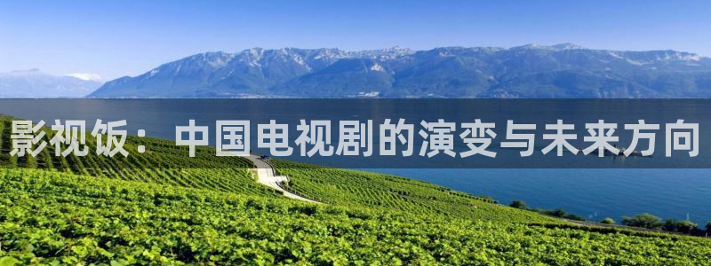 飞马影院免费下载：影视饭：中国电视剧的演变与未来方向