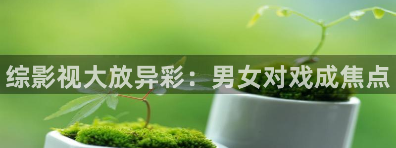 飞马影院下载安装：综影视大放异彩：男女对戏成焦点