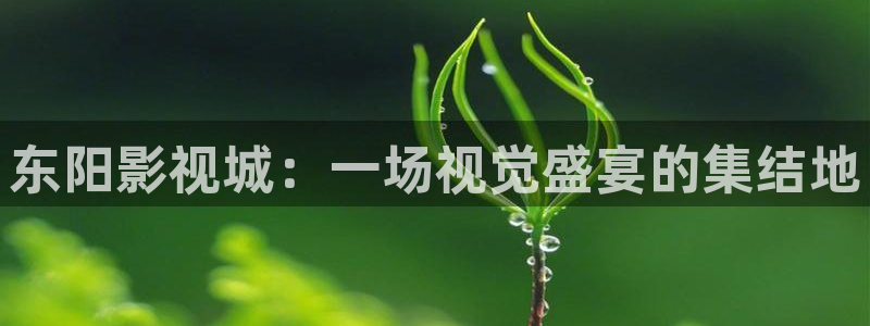 飞马影院app：东阳影视城：一场视觉盛宴的集结地