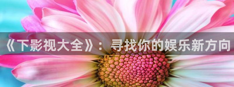 飞马影视电影：《下影视大全》：寻找你的娱乐新方向