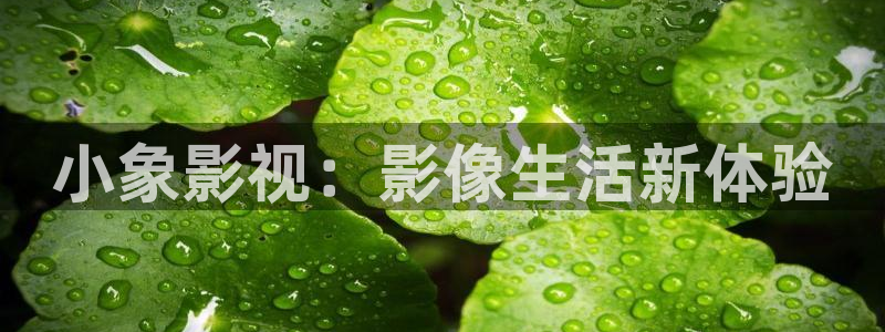 飞马影院下载：小象影视：影像生活新体验
