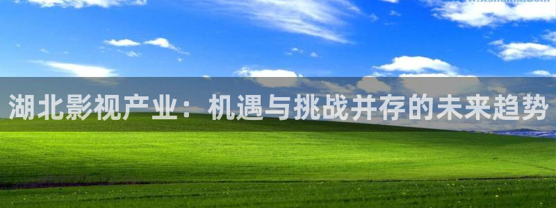 飞马影院：湖北影视产业：机遇与挑战并存的未来趋势