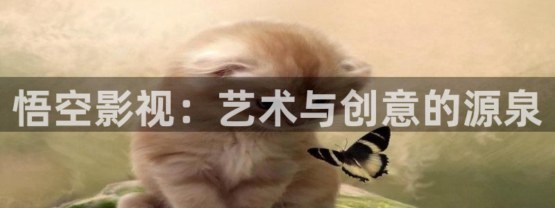飞马良子影视有限公司：悟空影视：艺术与创意的源泉
