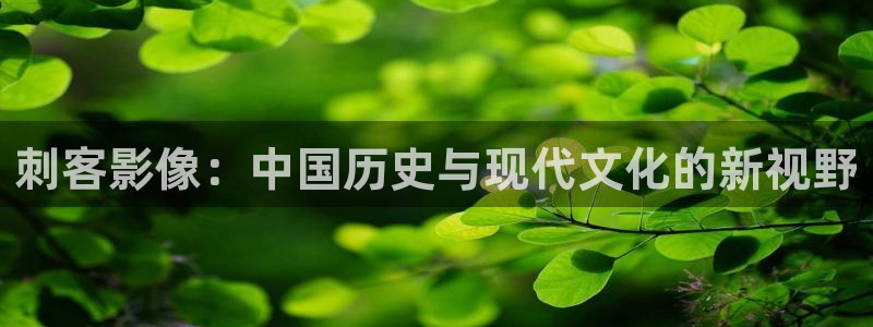 飞马影院app：刺客影像：中国历史与现代文化的新视野