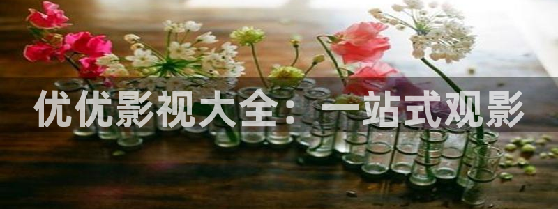 飞马影院免费下载：优优影视大全：一站式观影