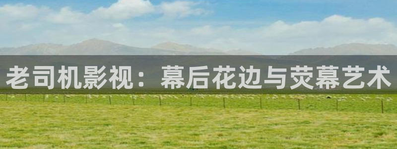 飞马影院在线观看：老司机影视：幕后花边与荧幕艺术