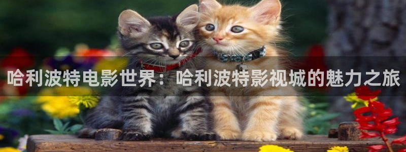 飞马影院免费下载：哈利波特电影世界：哈利波特影视城的魅力之旅